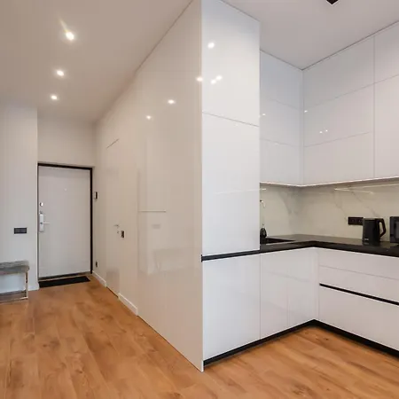 Petrovdom 2-5 New In Rc Novopecherski Lypky, 19b Andrii Verkhogliad Street *
